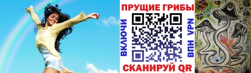 Псилоцибиновые грибы ЛСД Тбилисская